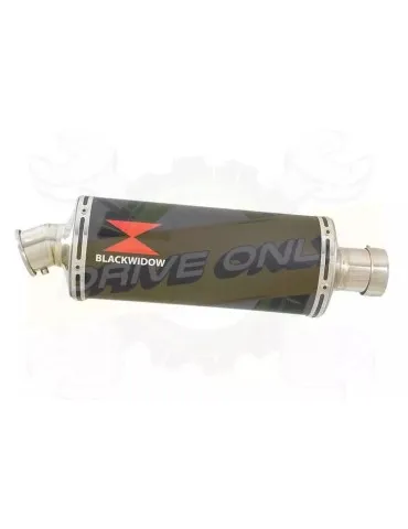 YAMAHA TDM 850 4EP / 3VD 1991 - 2001 2-1 Tube de raccord et Silencieux Ovale Noir En Inox 300mm