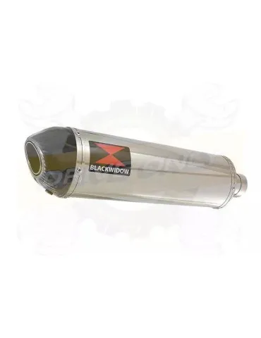 YAMAHA TDM 850 4EP / 3VD 1991 - 2001 2-1 Tube de raccord et Silencieux Ovale En Inox + Canule en Carbone 400mm