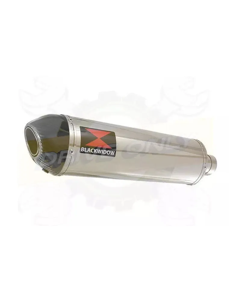 YAMAHA TDM 850 4EP / 3VD 1991 - 2001 2-1 Tube de raccord et Silencieux Ovale En Inox + Canule en Carbone 400mm