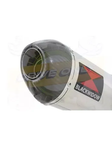 YAMAHA TDM 850 4EP / 3VD 1991 - 2001 2-1 Tube de raccord et Silencieux Ovale En Inox + Canule en Carbone 400mm