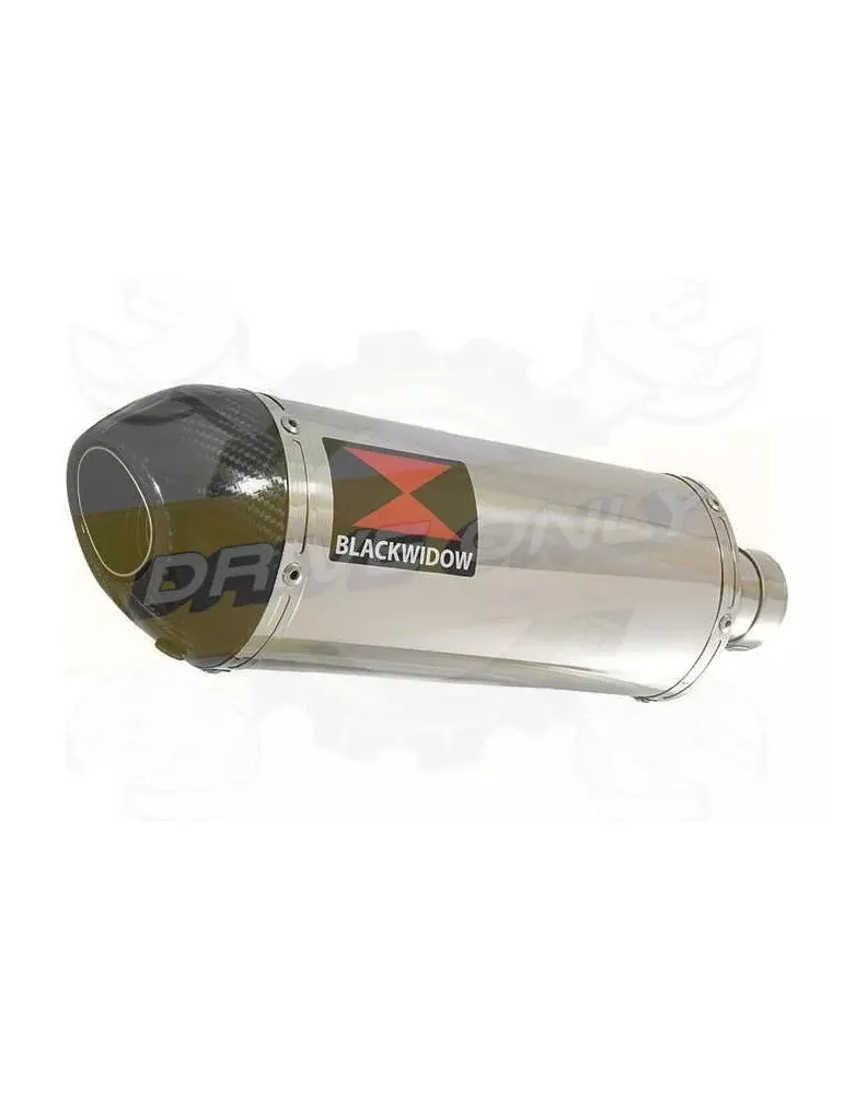 YAMAHA TDM 850 4EP / 3VD 1991 - 2001 2-1 Tube de raccord et Silencieux Ovale En Inox + Canule en Carbone 300mm