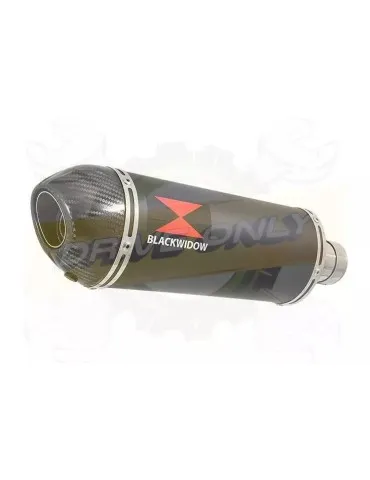 YAMAHA TDM 850 4EP / 3VD 1991 - 2001 2-1 Tube de raccord et Silencieux Ovale Noir En Inox + Canule en Carbone 300mm