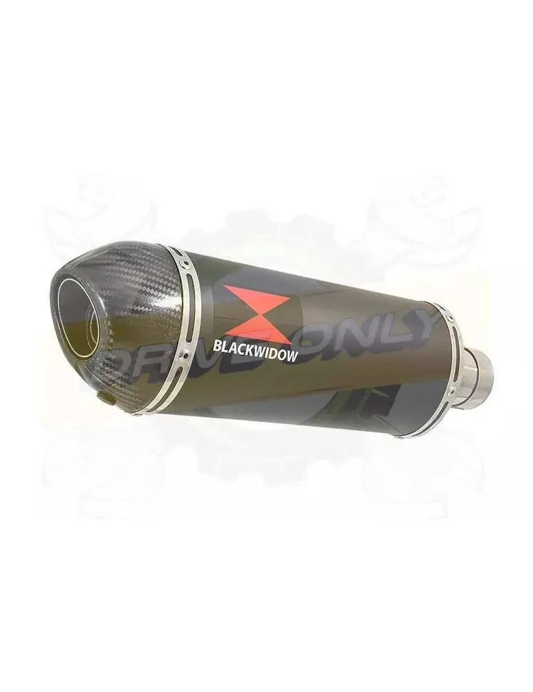YAMAHA TDM 850 4EP / 3VD 1991 - 2001 2-1 Tube de raccord et Silencieux Ovale Noir En Inox + Canule en Carbone 300mm
