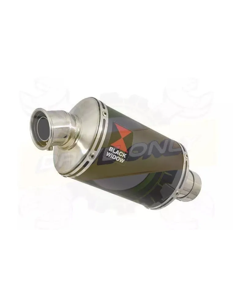 YAMAHA TDM 850 4EP / 3VD 1991 - 2001 2-1 Tube de raccord et Silencieux Rond GP En Carbone + Canule En Inox Anodisé 230mm
