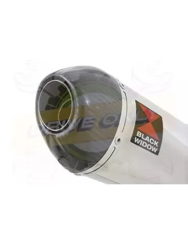 YAMAHA TDM 850 4EP / 3VD 1991 - 2001 2-1 Tube de raccord et Silencieux Ovale En Inox + Canule en Carbone 200mm