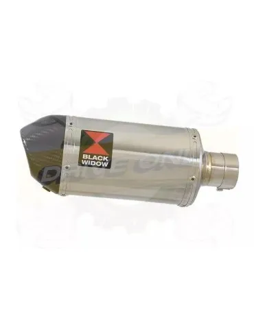YAMAHA TDM 850 4EP / 3VD 1991 - 2001 2-1 Tube de raccord et Silencieux Ovale En Inox + Canule en Carbone 200mm