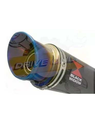 YAMAHA TDM 850 4EP / 3VD 1991 - 2001 2-1 Ligne complète & Silencieux Rond GP En Carbone + Canule En Inox Anodisé 230mm