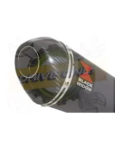 YAMAHA TDM 850 4EP / 3VD 1991 - 2001 2-1 Ligne complète & Silencieux Ovale Noir En Inox + Canule en Carbone 200mm