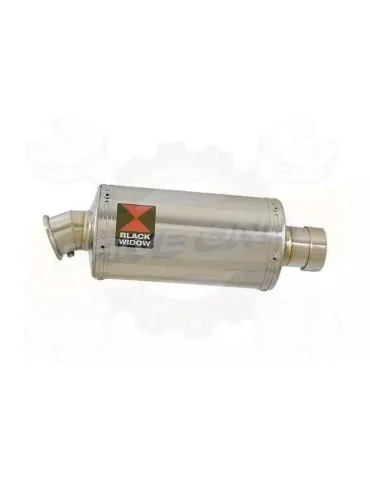 YAMAHA TDM 850 4EP / 3VD 1991 - 2001 2-1 Tube de raccord et Silencieux Ovale En Inox 230mm