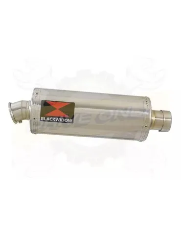 YAMAHA TDM 850 4EP / 3VD 1991 - 2001 2-1 Tube de raccord et Silencieux Ovale En Inox 300mm