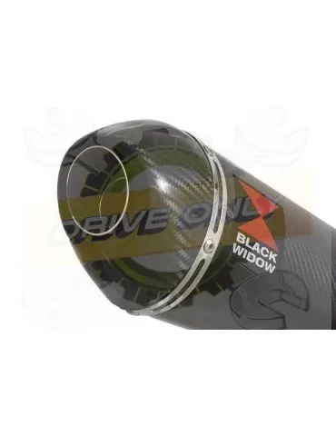 YAMAHA TDM 850 4EP / 3VD 1991 - 2001 2-1 Tube de raccord et Silencieux Ovale En Carbone 200mm