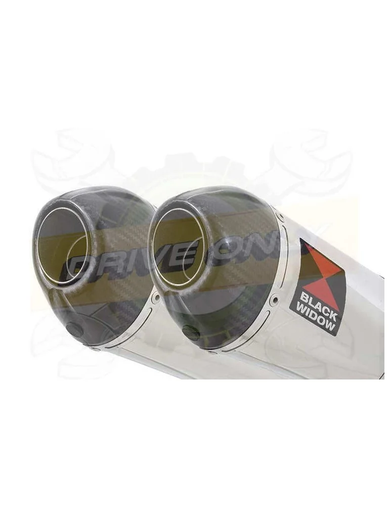 TDM 900 2-2 Silencieux Kit & Silencieux Ovale En Inox + Canule en Carbone 200mm