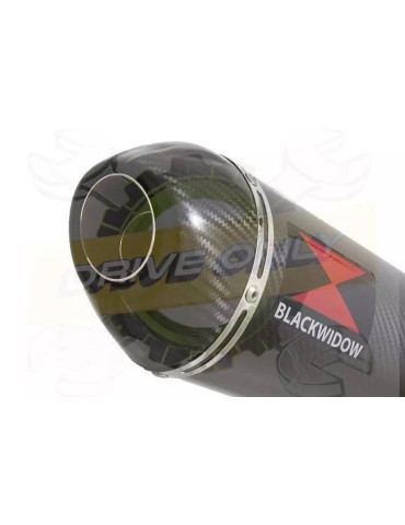 XR125 XR125L 2003-2010 Ligne complète & Silencieux Ovale En Carbone + Carbone 400mm