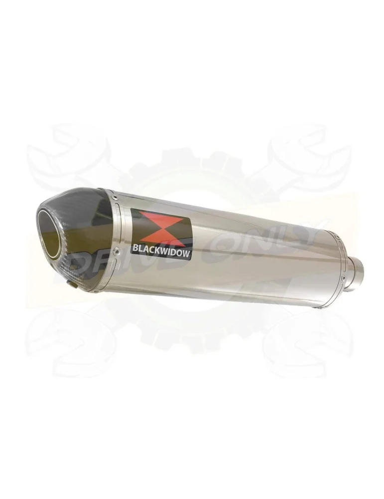 FZ-1S FZ-1 S Tube de raccord et Silencieux Ovale En Inox + Canule En Carbone 400mm