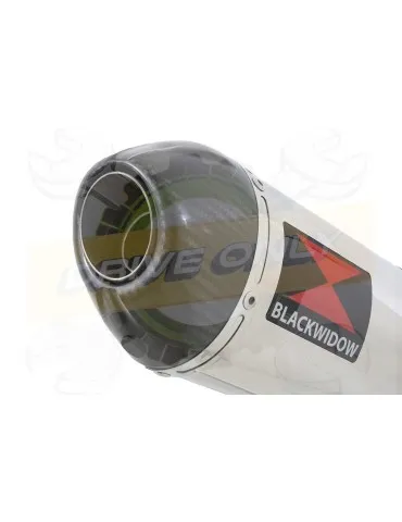 FZ-1N FZ-1 N exhaust tube de raccord et Ovale Silencieux En Inox + Carbon Tip 400mm