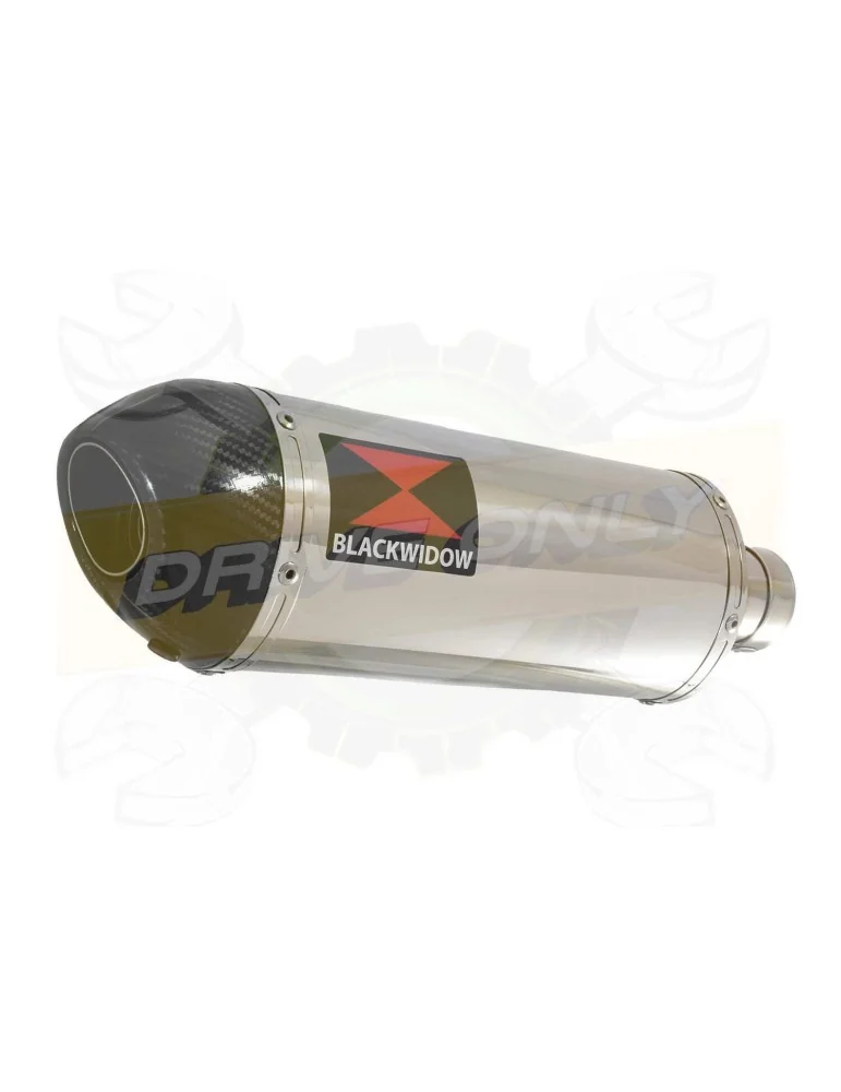 FZ-1N FZ-1 N exhaust tube de raccord et Ovale Silencieux En Inox + Carbon Tip 300mm