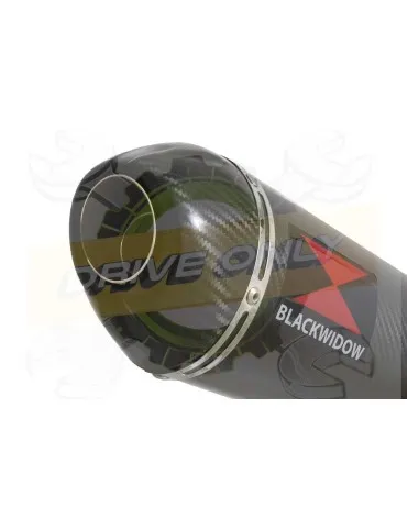 FZ-1N FZ-1 N exhaust tube de raccord et Ovale En Carbone Silencieux + Carbon Tip 300mm