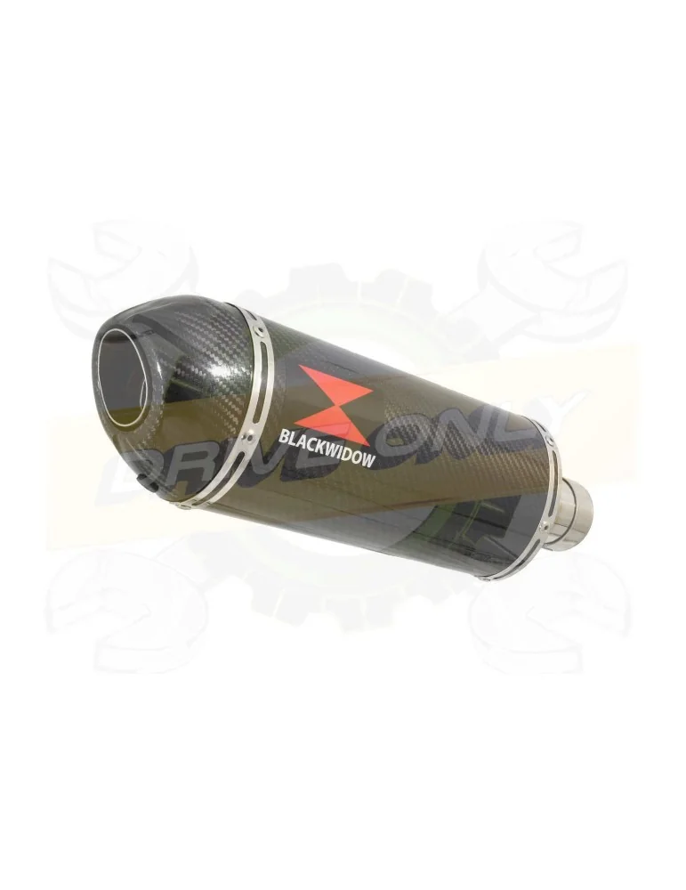 ZX10R Decata / Tube de raccord & Silencieux Ovale En Carbone 300mm