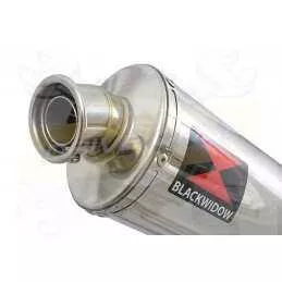 NTV600 NTV650 REVERE 1988-1998 Ligne complète & Silencieux Ovale En Inox 400mm