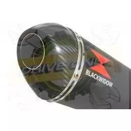 NTV600 NTV650 REVERE 1988-1998 Ligne complète & Silencieux Ovale En Carbone + Carbone Tip 400mm