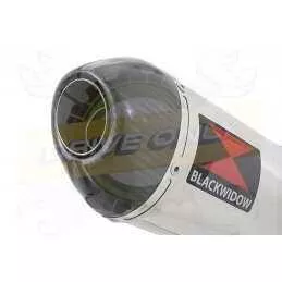 NTV600 NTV650 REVERE 1988-1998 Ligne complète & Silencieux Ovale En Inox + Carbone Tip 300mm