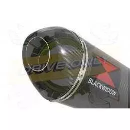 NTV600 NTV650 REVERE 1988-1998 Ligne complète & Silencieux Ovale En Carbone + Carbone Tip 300mm