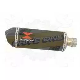 NTV600 NTV650 REVERE 1988-1998 Ligne complète & Silencieux Ovale En Carbone + Carbone Tip 300mm