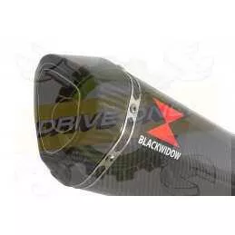 NTV600 NTV650 REVERE 1988-1998 Ligne complète & Silencieux Hexagonale En Carbone + Carbone Tip 300mm