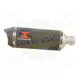 NTV600 NTV650 REVERE 1988-1998 Ligne complète & Silencieux Hexagonale En Carbone + Carbone Tip 300mm