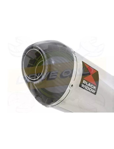 XR125 XR125L 2003-2010 Ligne complète & Silencieux Ovale En Inox + Carbone 200mm
