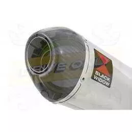 NTV600 NTV650 REVERE 1988-1998 Ligne complète & Silencieux Ovale En Inox + Carbone Tip 200mm