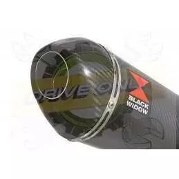 NTV600 NTV650 REVERE 1988-1998 Ligne complète & Silencieux Ovale En Carbone + Carbone Tip 200mm