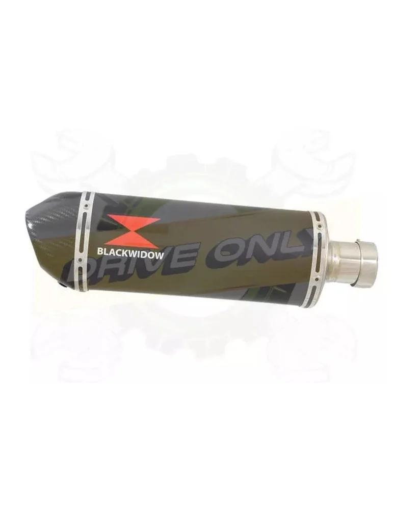  Ovale Noir En Inox Silencieux & En Carbone Tip 300mm