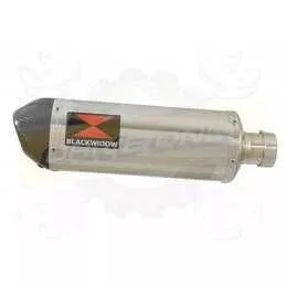  Ovale En Inox Silencieux & En Carbone Tip 300mm