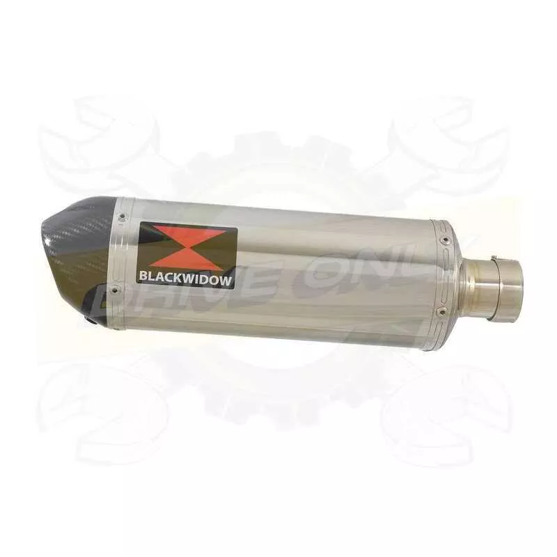  Ovale En Inox Silencieux & En Carbone Tip 300mm