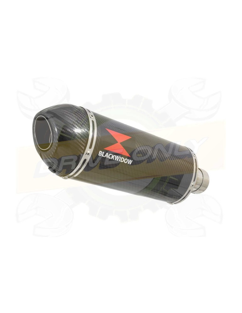 VFR800 98-03 (RC46) Hi level Silencieux kit & Silencieux Ovale En Carbone + carbone 300mm