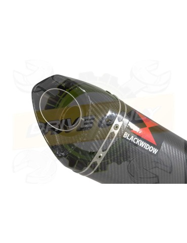 VFR800 98-03 (RC46) Hi level Silencieux kit & Silencieux tri-ovale carbone / carbone 250mm