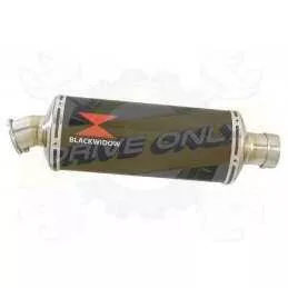  Ovale En Carbone Silencieux 300mm