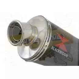  Ovale En Carbone Silencieux 300mm