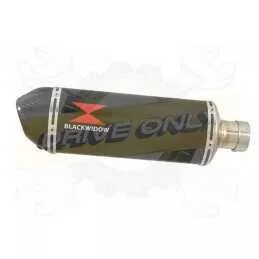  Ovale En Carbone Silencieux & En Carbone Tip 300mm