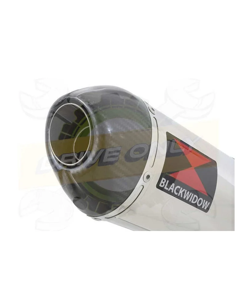 HONDA XL125 VARADERO (JC49) 08-16 Tube de raccord et Silencieux Ovale En Inox + Carbone Tip 400mm