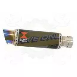  Rond GP Style En Carbone Silencieux & En Inox canule Anodisé 230mm