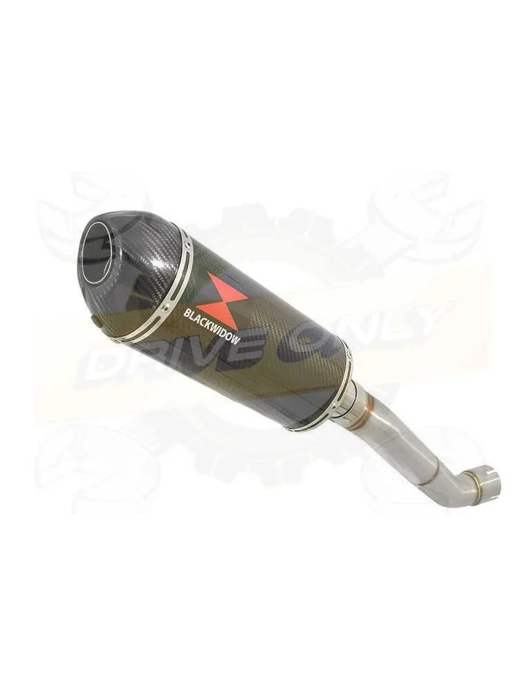 Aprilia Tuono V4R / V4R APRC 2011/2015 Passage Haut Exhaust tube de raccord & Ovale En Carbone Silencieux + Carbon Tip 300mm