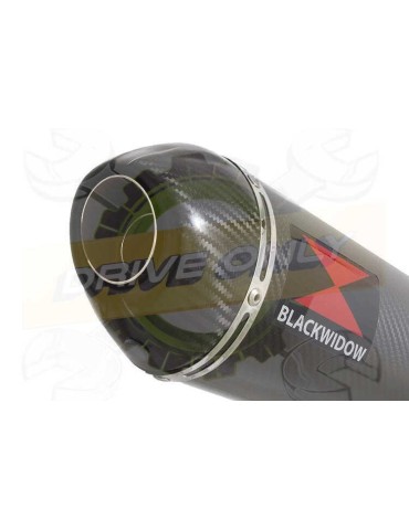 MT-09 Tracer 2013-2021 Passage Bas Décatalyseur Ligne complètes Silencieux Ovale En Carbone + Carbon Tip 400mm