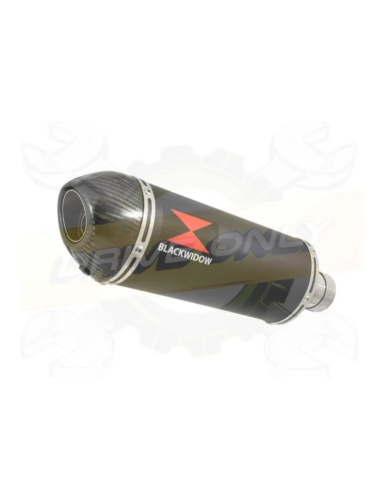 YZF-R1 R1M 2015-2017 Tube de raccord + Silencieux Ovale Black En Inox + Canule en Carbone 300mm