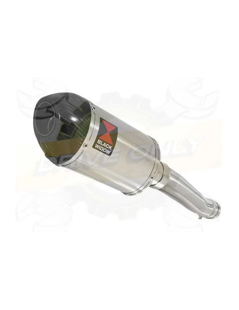 Yamaha FZR 600 FZR600R 4JH 'Fox Eye' Tube de raccord et Silencieux Ovale En Inox + Canule En Carbone 200mm