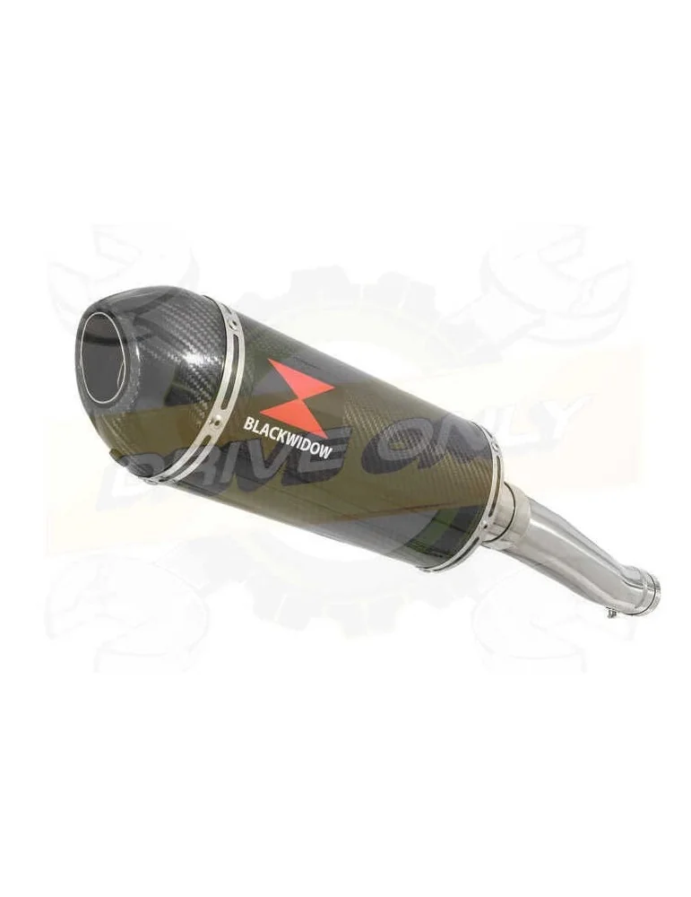 Yamaha FZR 600 FZR600R 4JH 'Fox Eye' Tube de raccord et Silencieux Ovale En Carbone 300mm