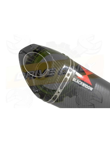 FZR1000 FZR 1000 EXUP Tube de raccord et Silencieux Tri Ovale En Carbone 250mm