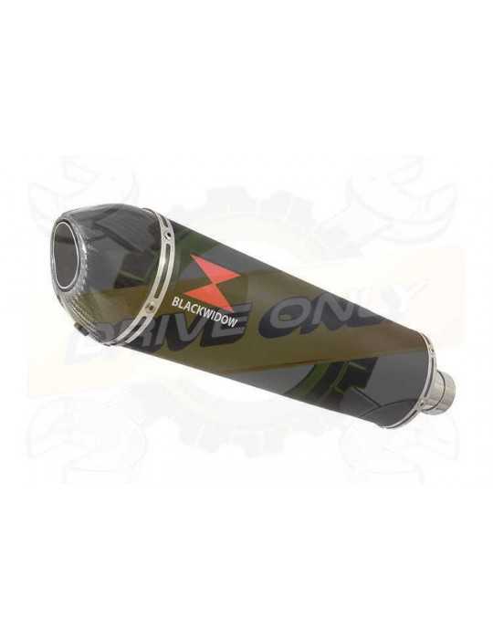 FZS1000 FZS 1000 FAZER Exhaust Silencieux Kit & Ovale Noir Silencieux En Inox + En Carbone Tip 400mm