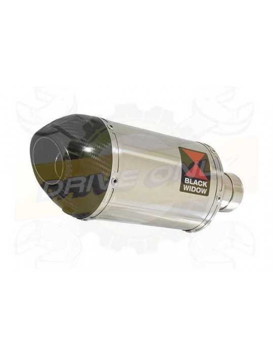 FZS1000 FZS 1000 FAZER Silencieux Kit & Silencieux Ovale En Inox + Canule En Carbone 200mm